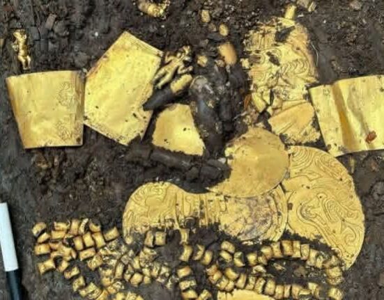 FB IMG 1771784741942