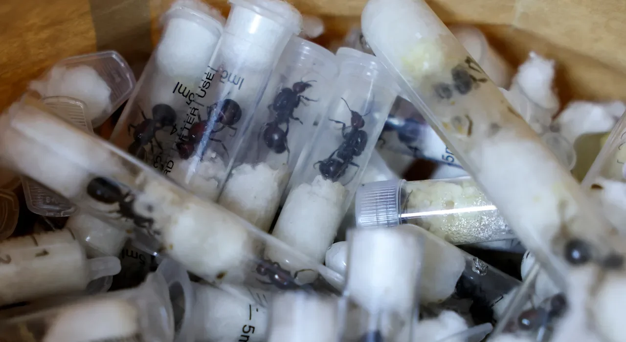 312b947896d79d9a0cd4805b74957f2ff285268af8d38c65ddcca45f10f24b44