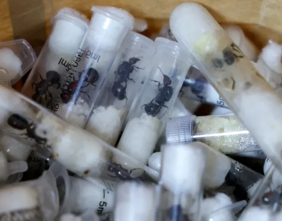 312b947896d79d9a0cd4805b74957f2ff285268af8d38c65ddcca45f10f24b44