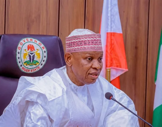 Governor Abba Kabir Yusuf of Kano State 1 (2)